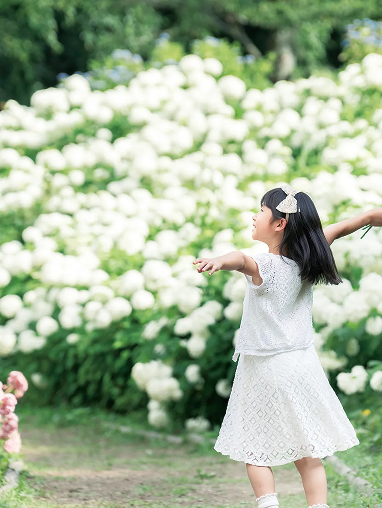 国営昭和記念公園×秋川渓谷あじさいまつり 多摩の紫陽花めぐり