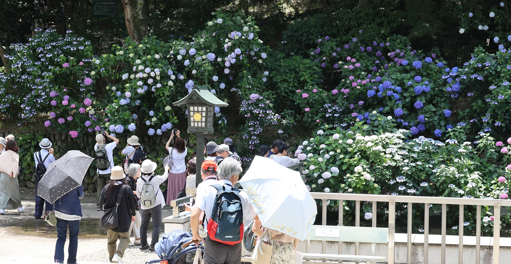 【日野市】高幡不動尊金剛寺