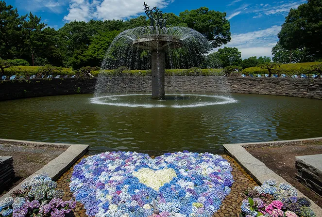 国営昭和記念公園イメージ
