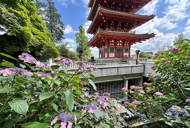 高幡不動尊金剛寺イメージ