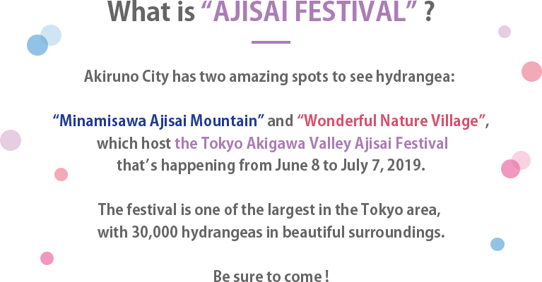 What is AJISAI FESTIVAL? Akiruno City has two amazing spots to see hydranges: Minamisawa Ajisai Mountain and Wonderful Nature Village, which host the Tokyo Akigawa Valley Ajisai Festival that's happening from june 8 to july 7, 2019. The festival is one of the largest in the Tokyo area, with 30,000 hydrangeas in beautiful surroundings. Be sure to come!