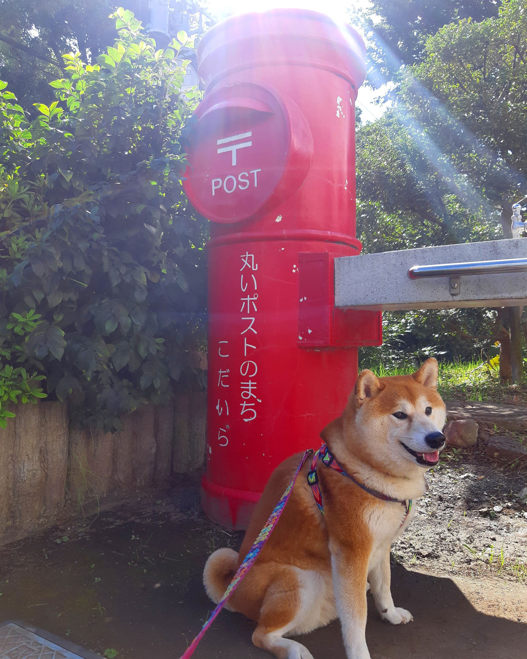 こだいらフォトコンテスト