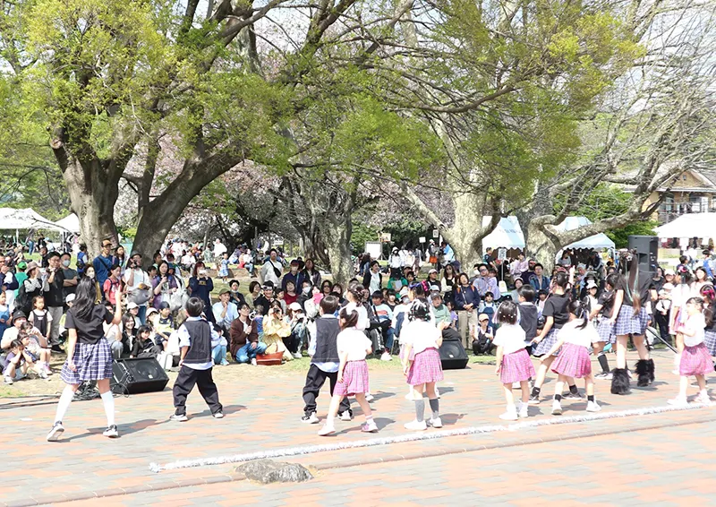 史跡桜まつり with Ann Bee