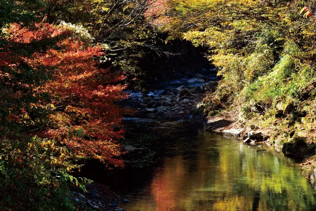 あきる野