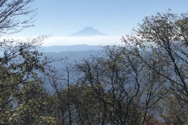檜原