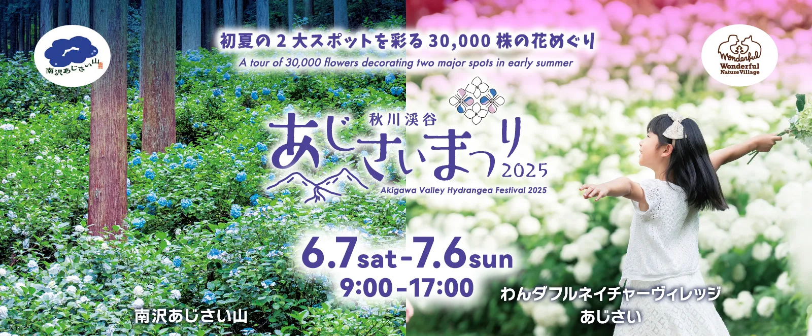 初夏の2大スポットを彩る30,000株の花めぐり　秋川渓谷あじさいまつり2025　6/7sat-7/6sun 9:00-17:00　南沢あじさい山　わんダフルネイチャーヴィレッジあじさい