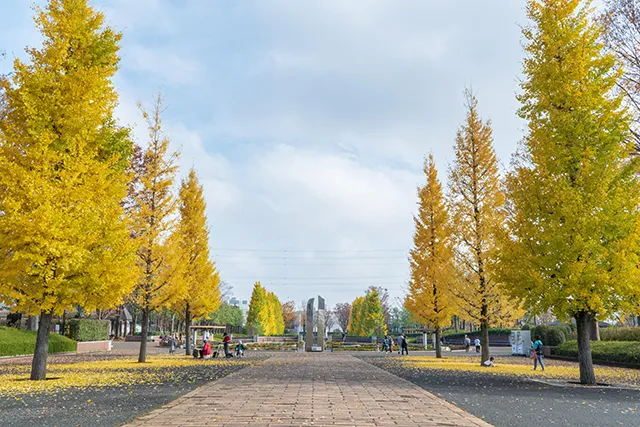 あきる野