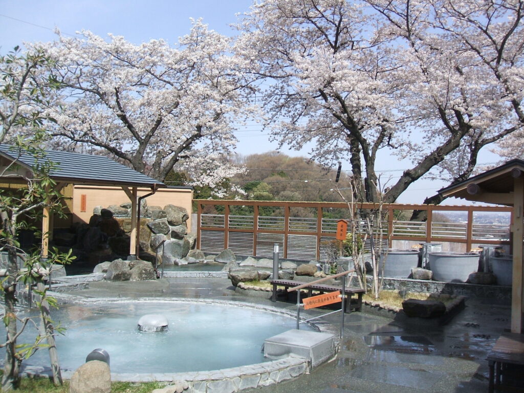 桜とお風呂