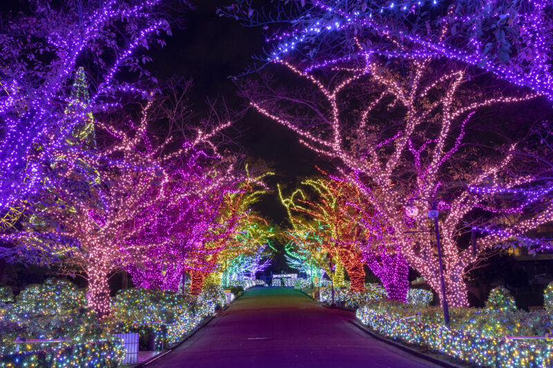 多摩のイルミネーションスポット | イマタマ