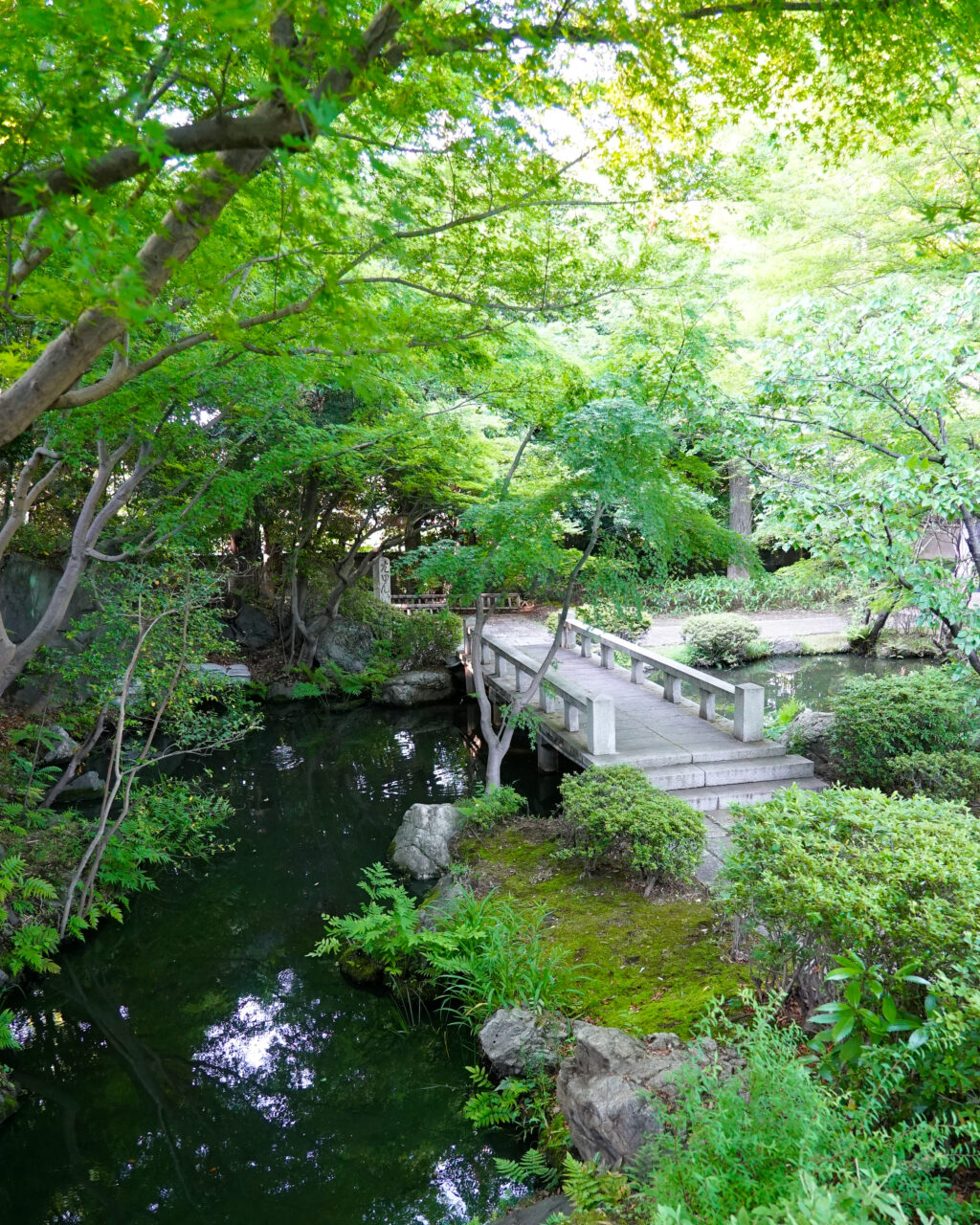 緑豊かな日本庭園