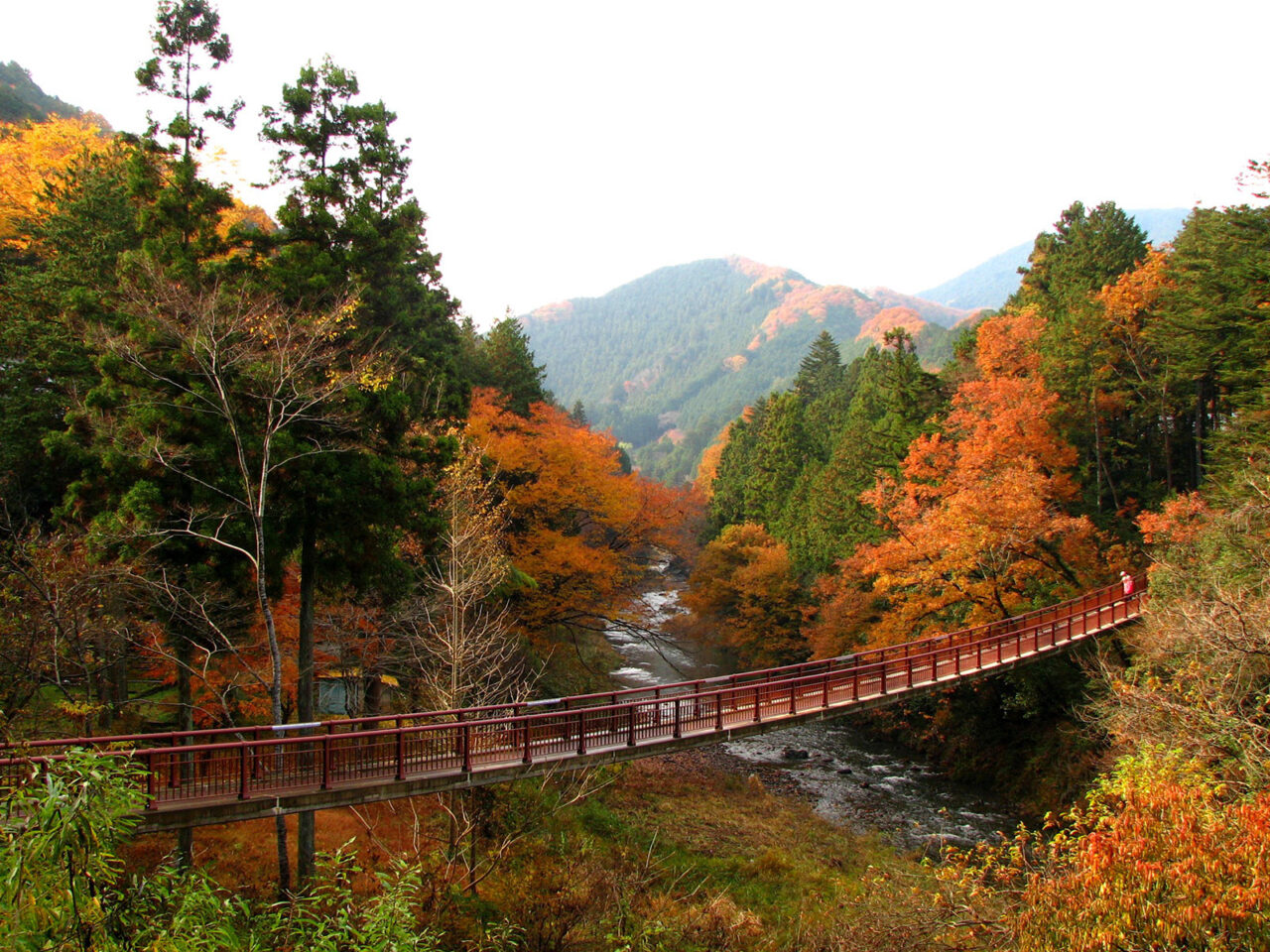 秋川渓谷の紅葉風景