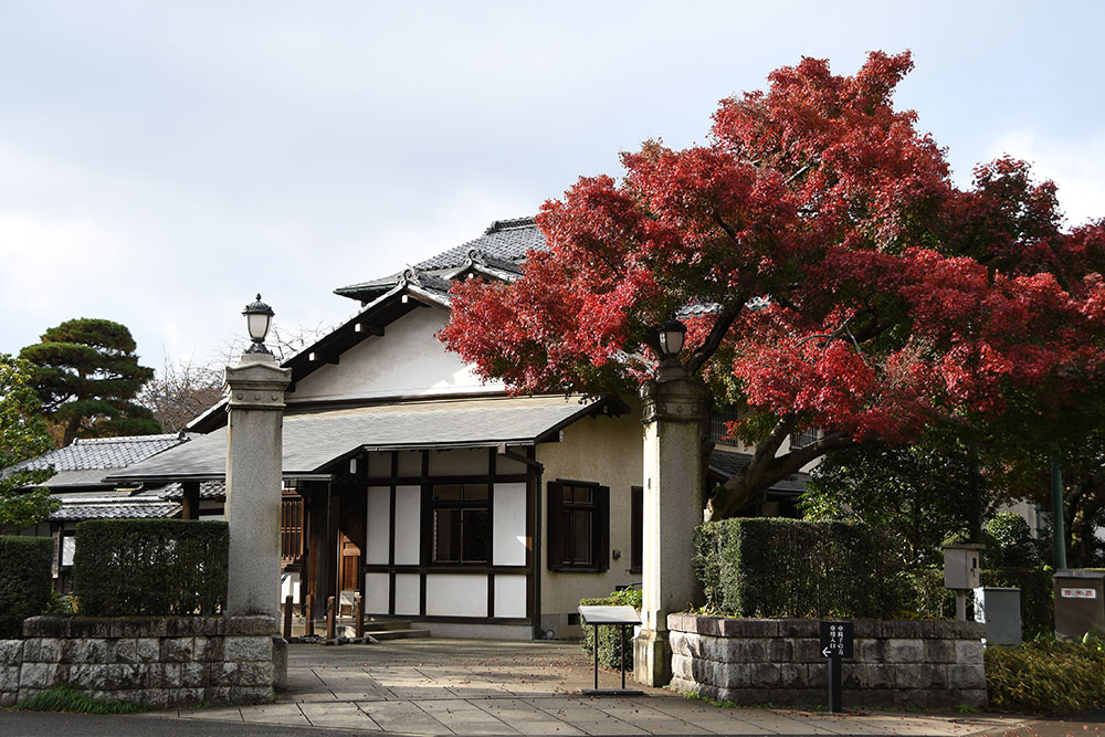 日本風景と紅葉