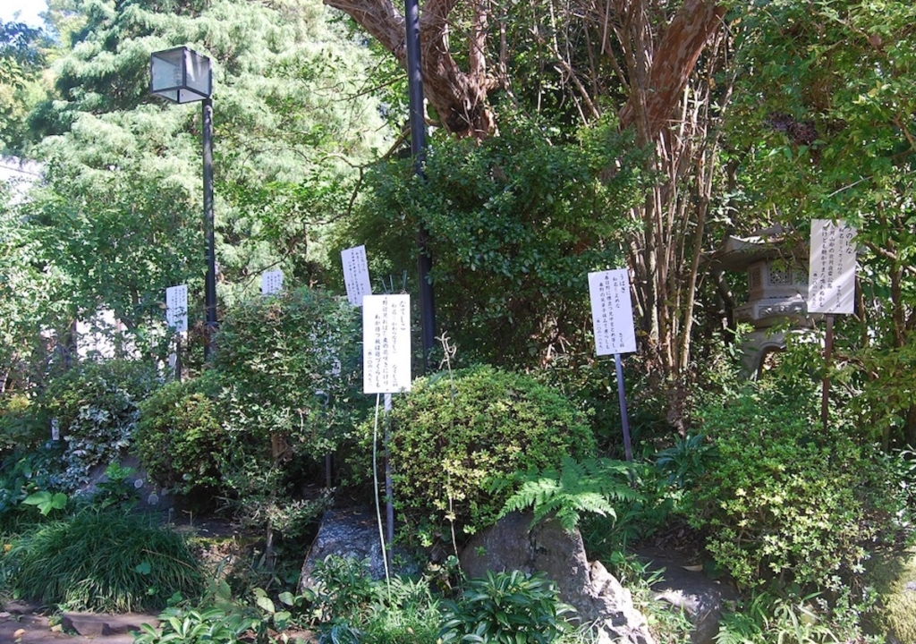 境内の万葉植物園は国分寺市の天然記念物に指定されています