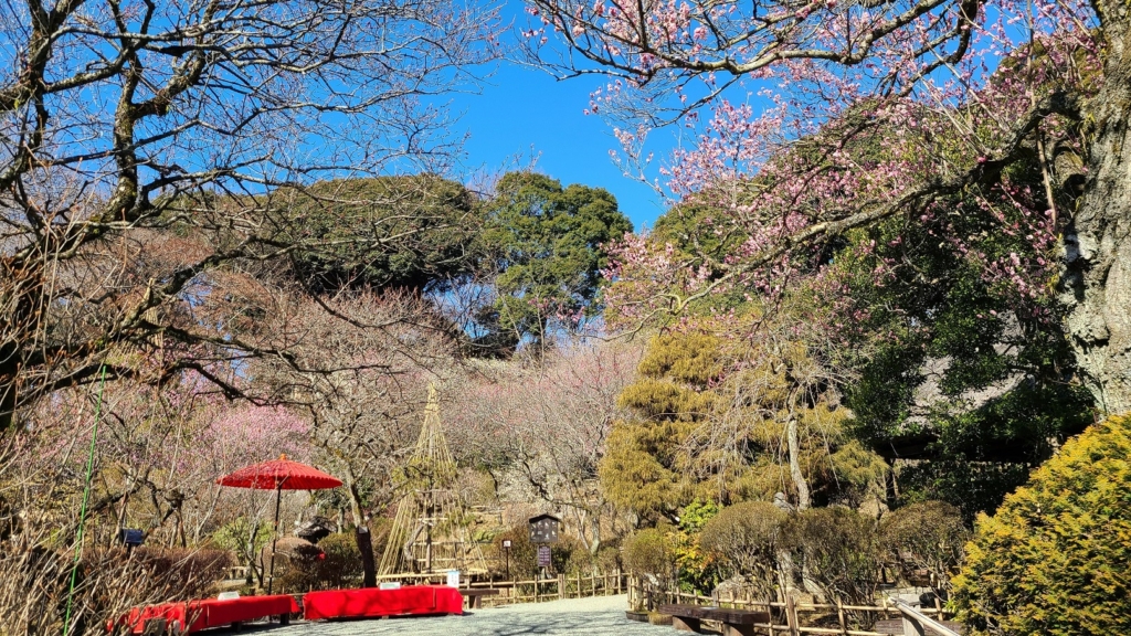 日本庭園