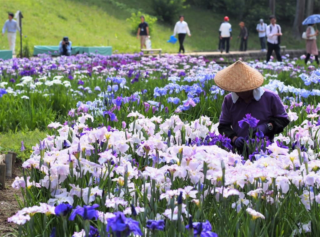 花がら摘み