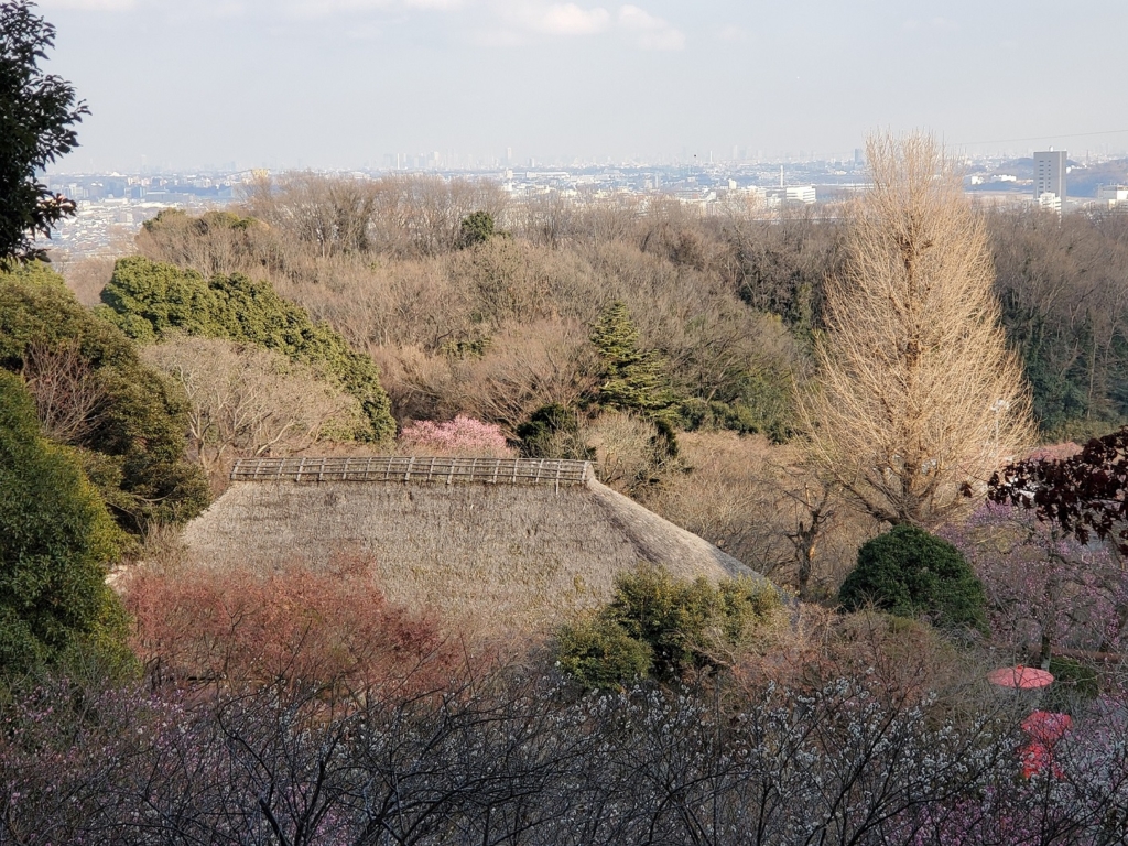 見晴台