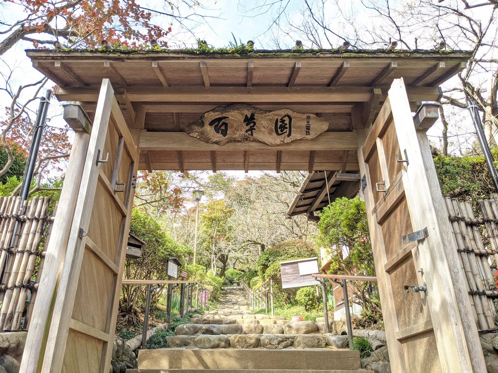 【日野市】非日常を味わう美しい日本庭園。「京王百草園」の趣深い紅葉