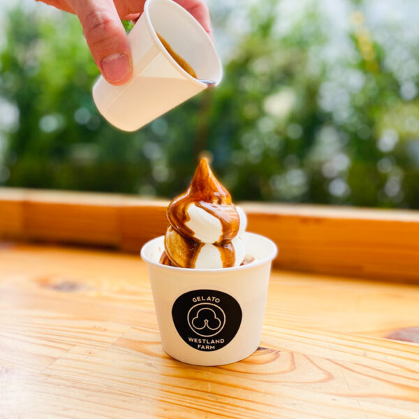 瑞穂町】搾りたての自家牧場の生乳を使用したジェラートショップ 清水