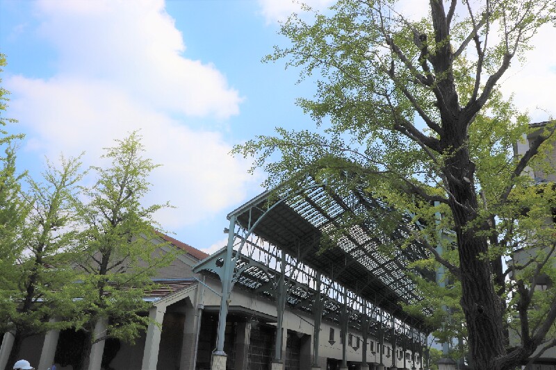 年4月 首都大学東京の大学名称が変わります イマタマ