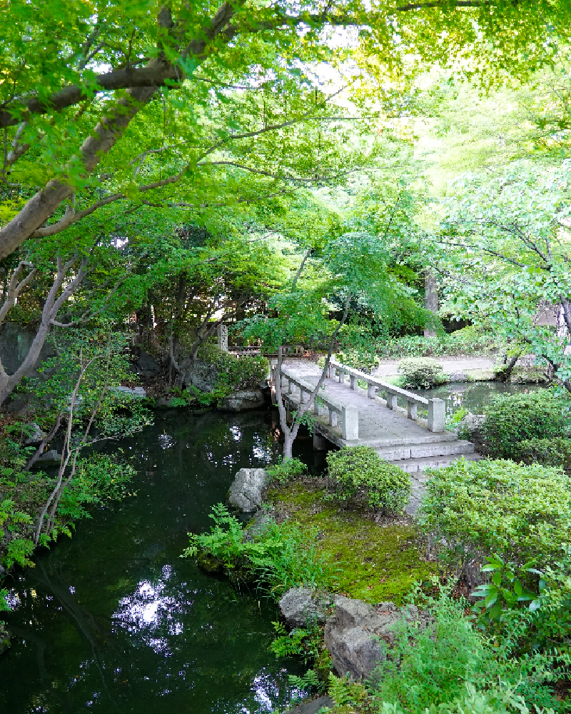 植物園×映像技術！ 日本初のスターバックス！ カワウソも見られる新