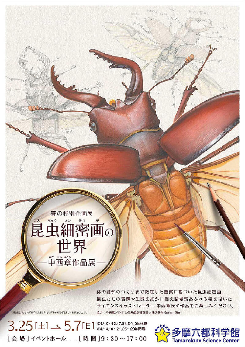 西東京市】「昆虫細密画の世界～中西章作品展～」多摩六都科学館で開催