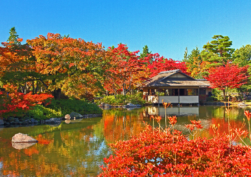 昭和記念公園にて秋のinstagramフォトコンテスト開催中 イマタマ