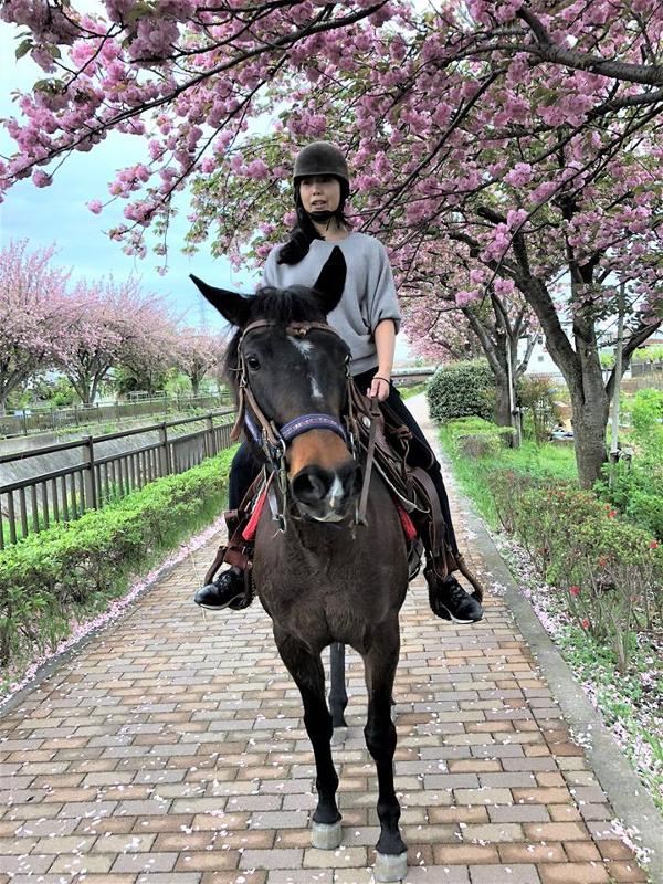 馬Café マリヤの風」 代表 山崎立暎さん | イマタマ
