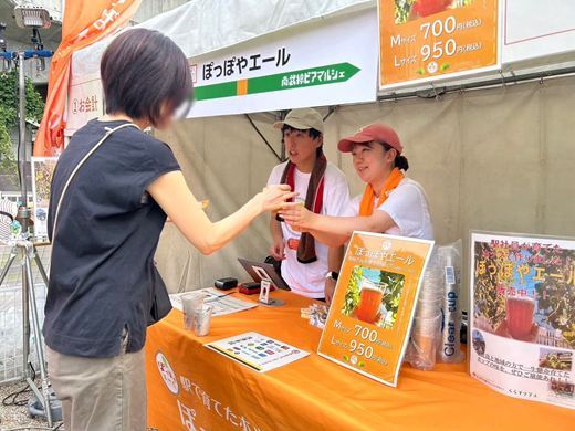 稲美町史　10％値下げしました 雷を閉じ込めた井戸のある三島神社(東京・下谷)が 建替えに伴い銅板