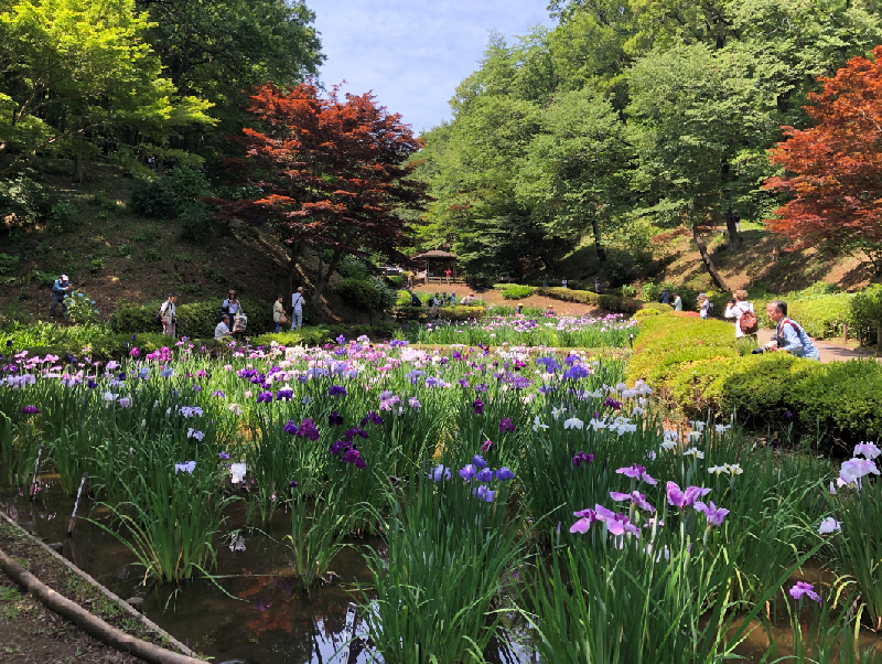 2020年4月、町田薬師池公園四季彩の杜 西園がオープン イマタマ 2020年4月、町田薬師池公園四季彩の杜 西園がオープン イマタマ