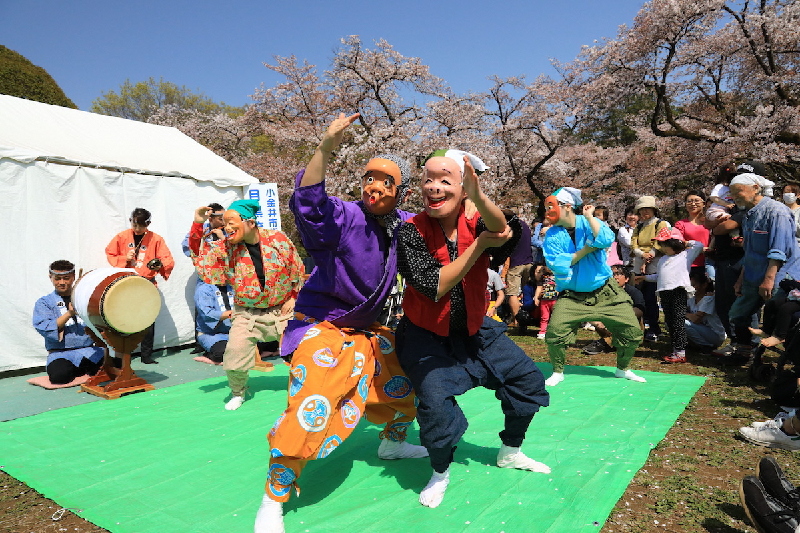 開催中止 第66回小金井桜まつり イマタマ