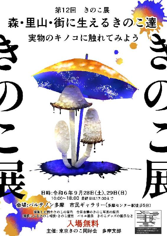 第12回きのこ展 | イマタマ