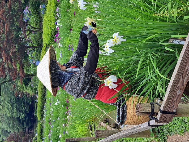 早乙女姿で花摘み体験 | イマタマ