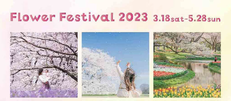 立川市】3/18日～5/28日 国営昭和記念公園 春の花が満開！「Flower