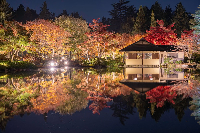 立川市】国営昭和記念公園 11月3（金）～26日（土） 「黄葉
