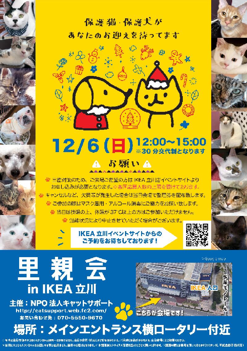 Ikea立川 保護猫 保護犬 里親会 年12月6日 イマタマ