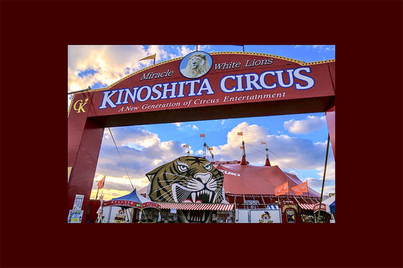 多摩のイベント・おでかけ・アウトドア・グルメ情報サイト | イマタマ