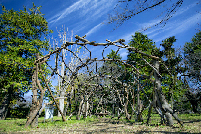 草月のいけばなと昭和記念公園のコラボも実現！ 第26回「よみがえる樹々のいのち」展を開催中 | イマタマ