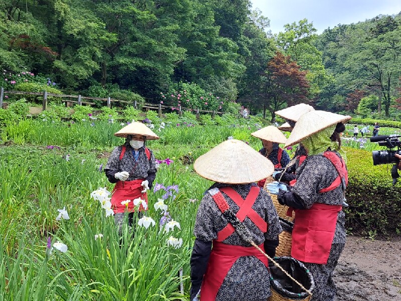 早乙女姿で花摘み体験 | イマタマ