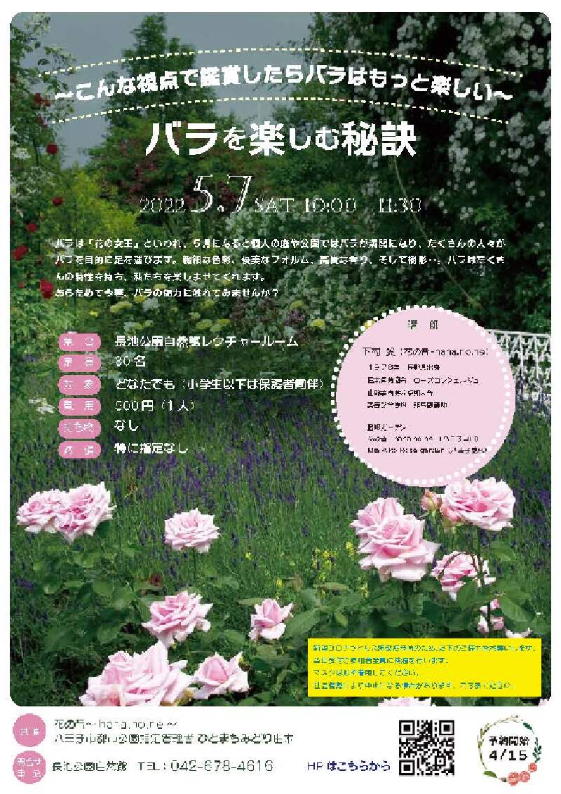 バラを楽しむ秘訣 イマタマ