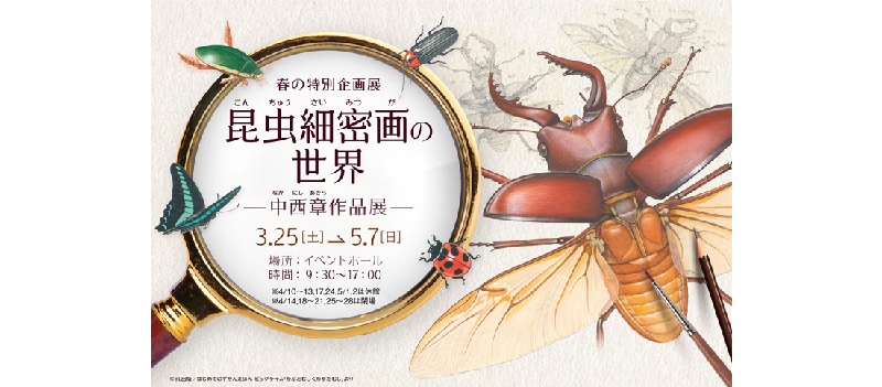 西東京市】「昆虫細密画の世界～中西章作品展～」多摩六都科学館で開催