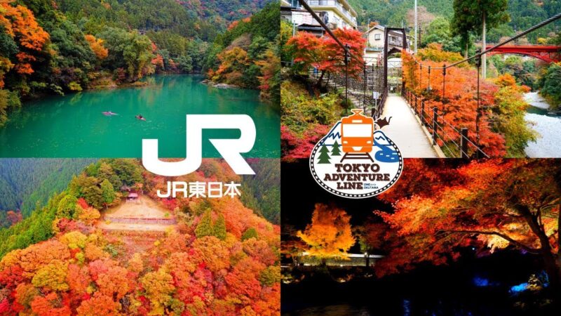 青梅線「東京アドベンチャーラインで行く秋の感動体験」