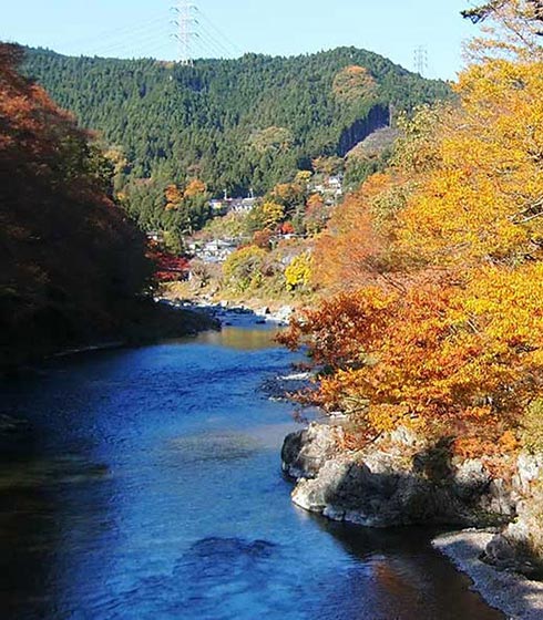 五感で秋を味わう 青梅「御岳渓谷」を歩く